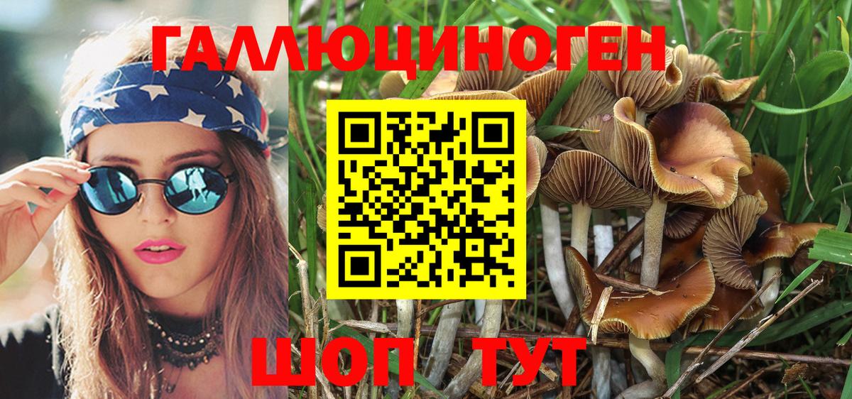 Галлюциногенные грибы Magic Shrooms Тайшет