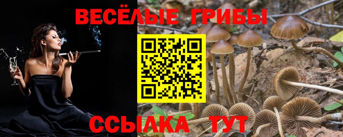 Галлюциногенные грибы GOLDEN TEACHER  Вход с VPN  Тайшет 